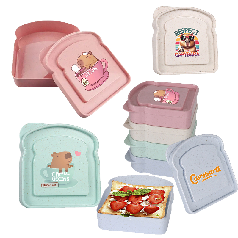 Food Storage With Dividers - Capybara Sandwich Food Storage Case Container