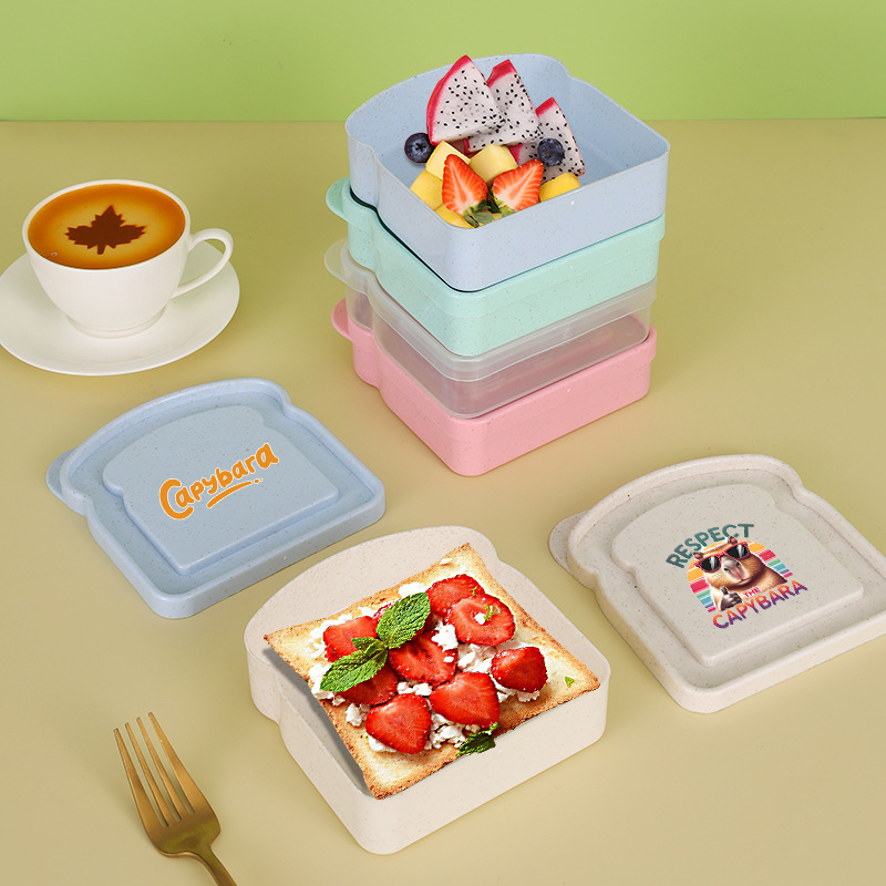 Capybara Sandwich Food Storage - Food Storage With Dividers ulasan dan harga